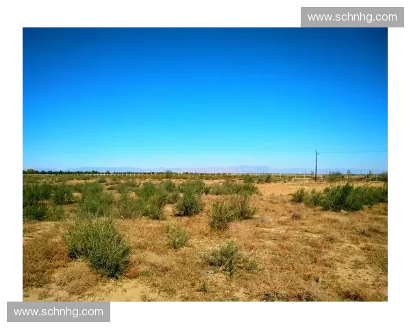 黄沙之境新篇章 Dota2黄沙英雄崛起与世界变迁探秘